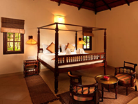 Falcon Tours and Travels