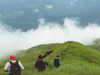 Falcon Tours and Travels