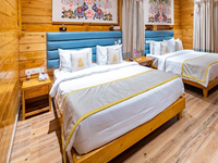 Falcon Tours and Travels