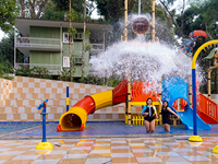 Falcon Tours and Travels