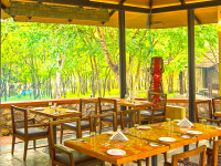 Falcon Tours and Travels