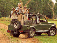 Falcon Tours and Travels