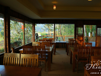 Falcon Tours and Travels