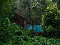 Falcon Tours and Travels